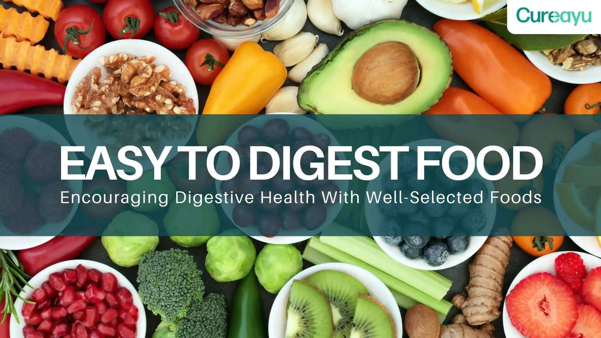 Food for Digestion: Navigating Digestion with the Art of Food Selection for Gut Harmony