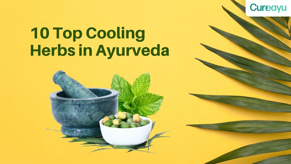 cooling herbs ayurveda