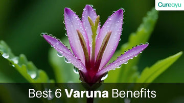 varuna benefits