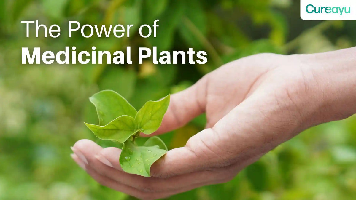 medicinal plants