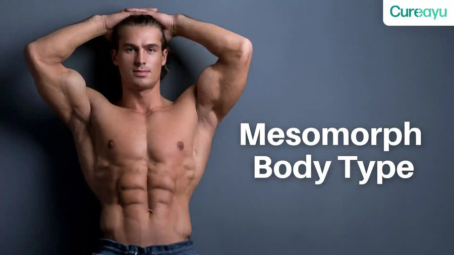mesomorph body type