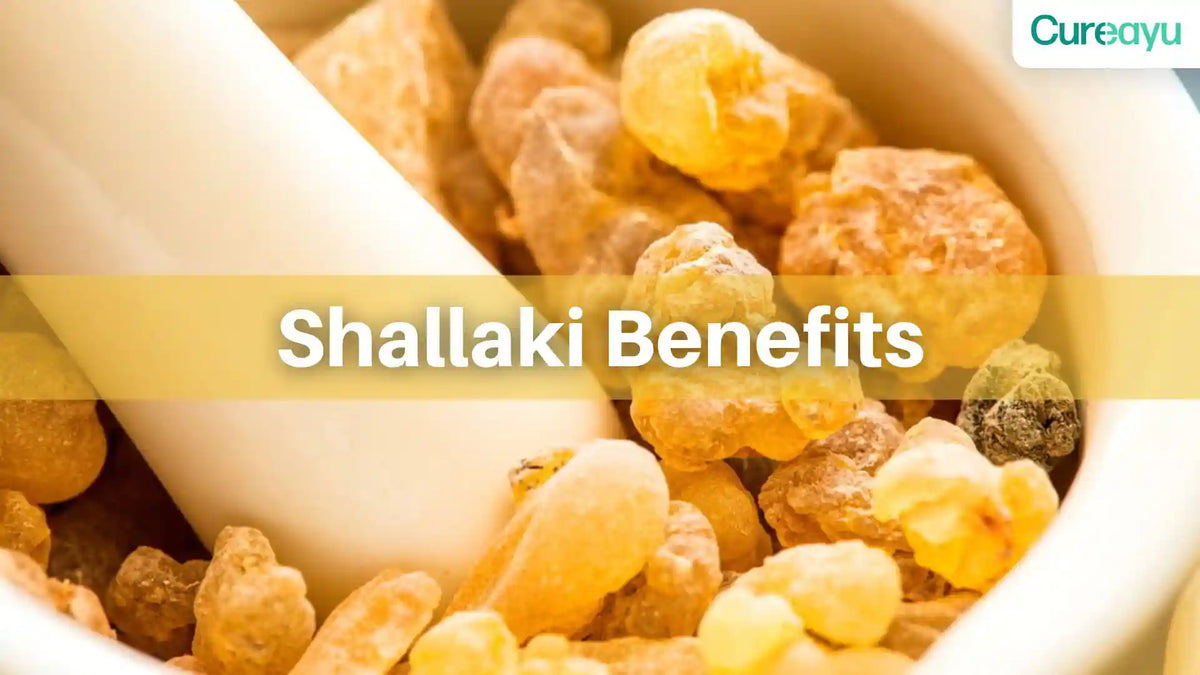 shallaki
