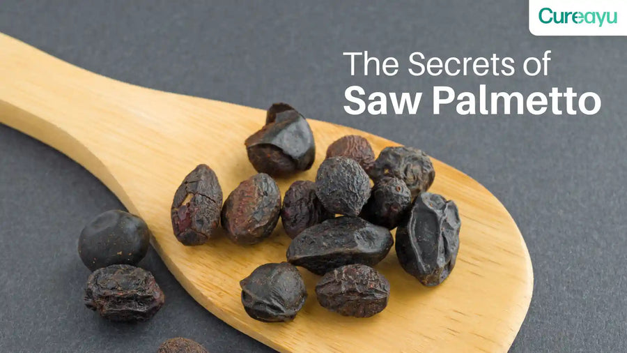 saw palmetto