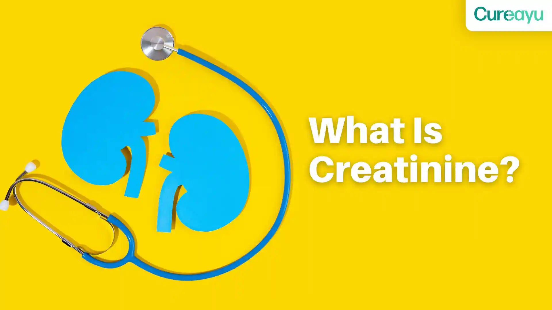 What Is Creatinine? Everything You Need to Know About Kidney Health