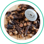 Lavanga — Ayurvedic herb