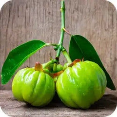 Vrikshmala — Ayurvedic herb