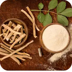 Ashwagandha — Ayurvedic herb