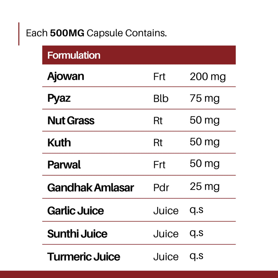 Cholesterol Support Capsules