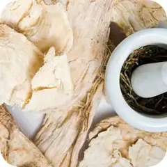 Bidhari Quand — Ayurvedic herb