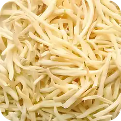 Safed Musli — Ayurvedic herb