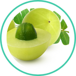 Amla Extract — Ayurvedic herb