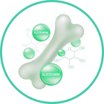 Glucosamine — Ayurvedic herb