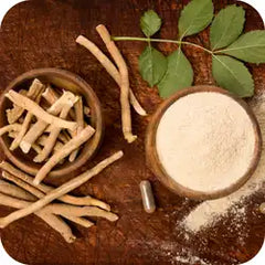 Ashwagandha — Ayurvedic herb