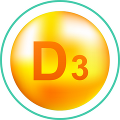 Vitamin D3 — Ayurvedic herb