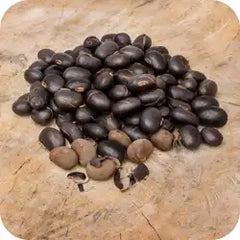 Kaunch — Ayurvedic herb