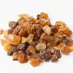 Kanchanar Guggulu — Ayurvedic herb