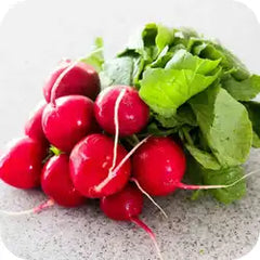 Moolikshar — Ayurvedic herb