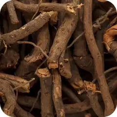 Chitrak — Ayurvedic herb