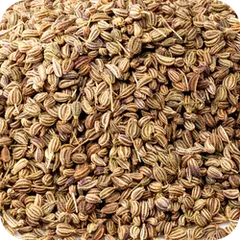 Ajowan — Ayurvedic herb