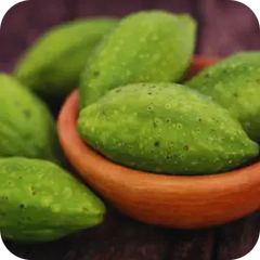 Haritaki — Ayurvedic herb
