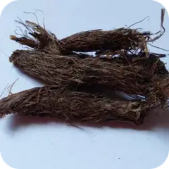 Jatamansi — Ayurvedic herb