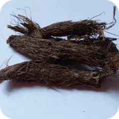 Jatamamsi — Ayurvedic herb