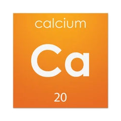 L-Methyl Folate Calcium — Ayurvedic herb