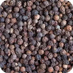 Marica — Ayurvedic herb