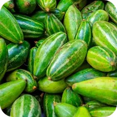 Parwal — Ayurvedic herb