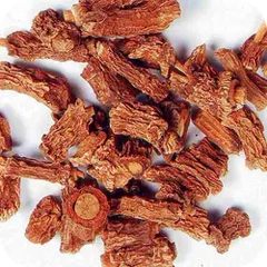 Sariva — Ayurvedic herb