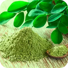 Sigru — Ayurvedic herb