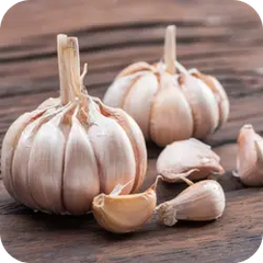 Garlic Juice — Ayurvedic herb