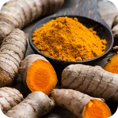 Turmeric Juice — Ayurvedic herb