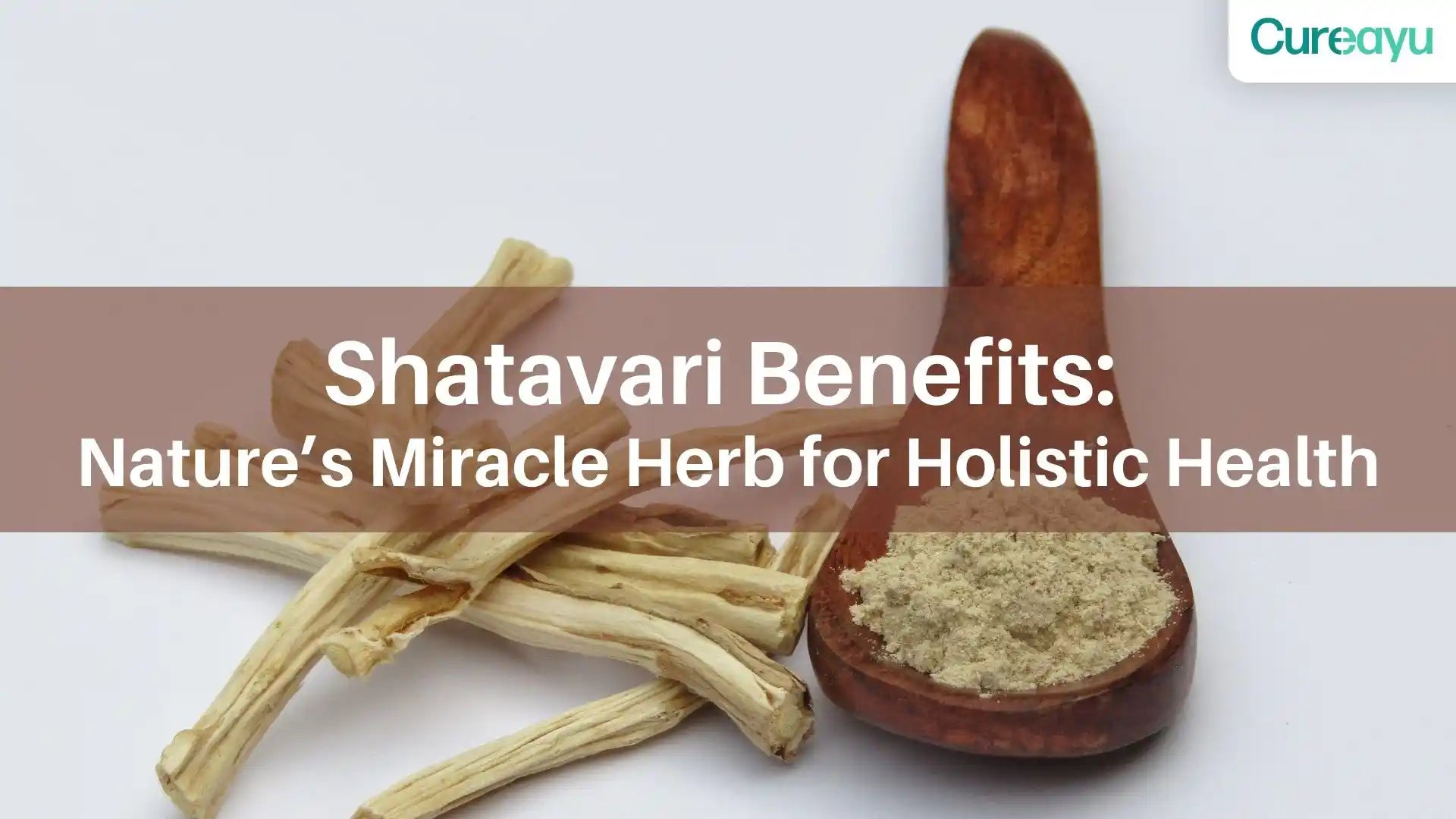 Shatavari Benefits: Explore Nature’s Miracle Herb for Holistic Health