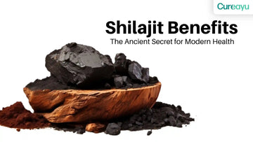shilajit benefits