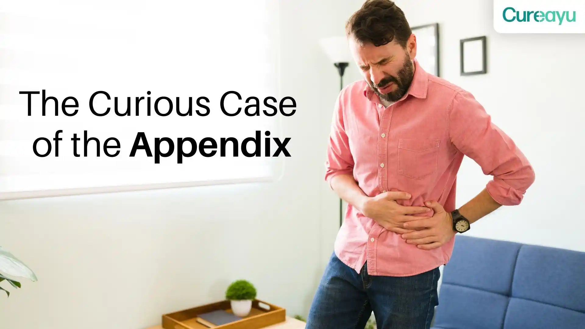 what is appendix