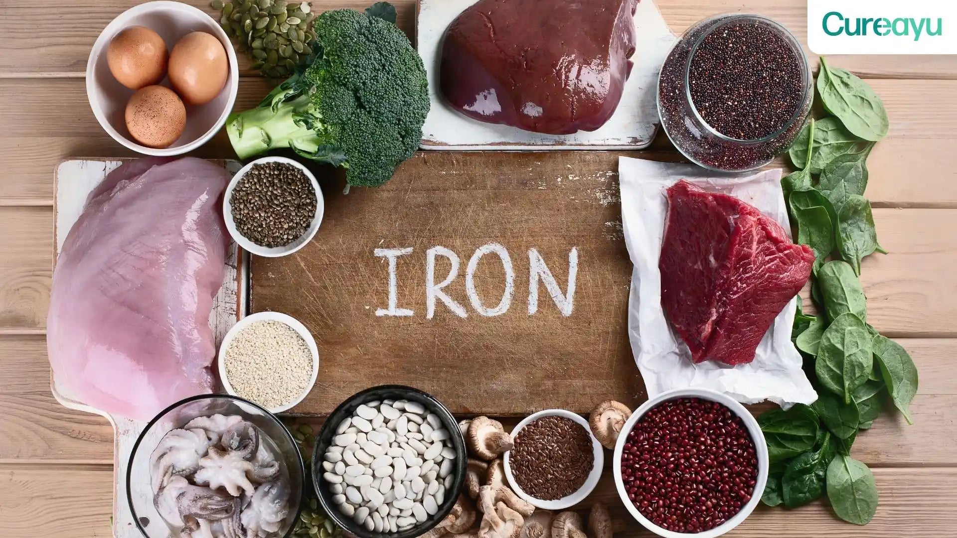 role of iron in the body