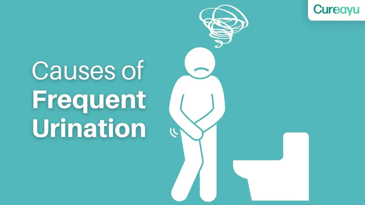 causes of frequent urination