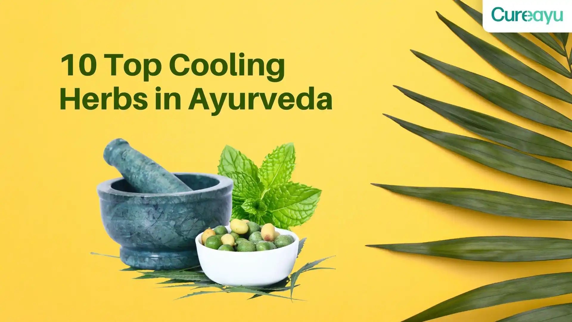 cooling herbs ayurveda