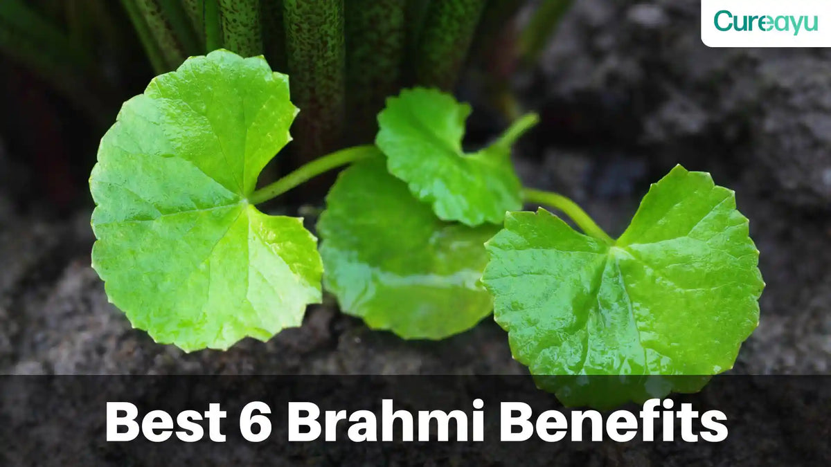 brahmi benefits