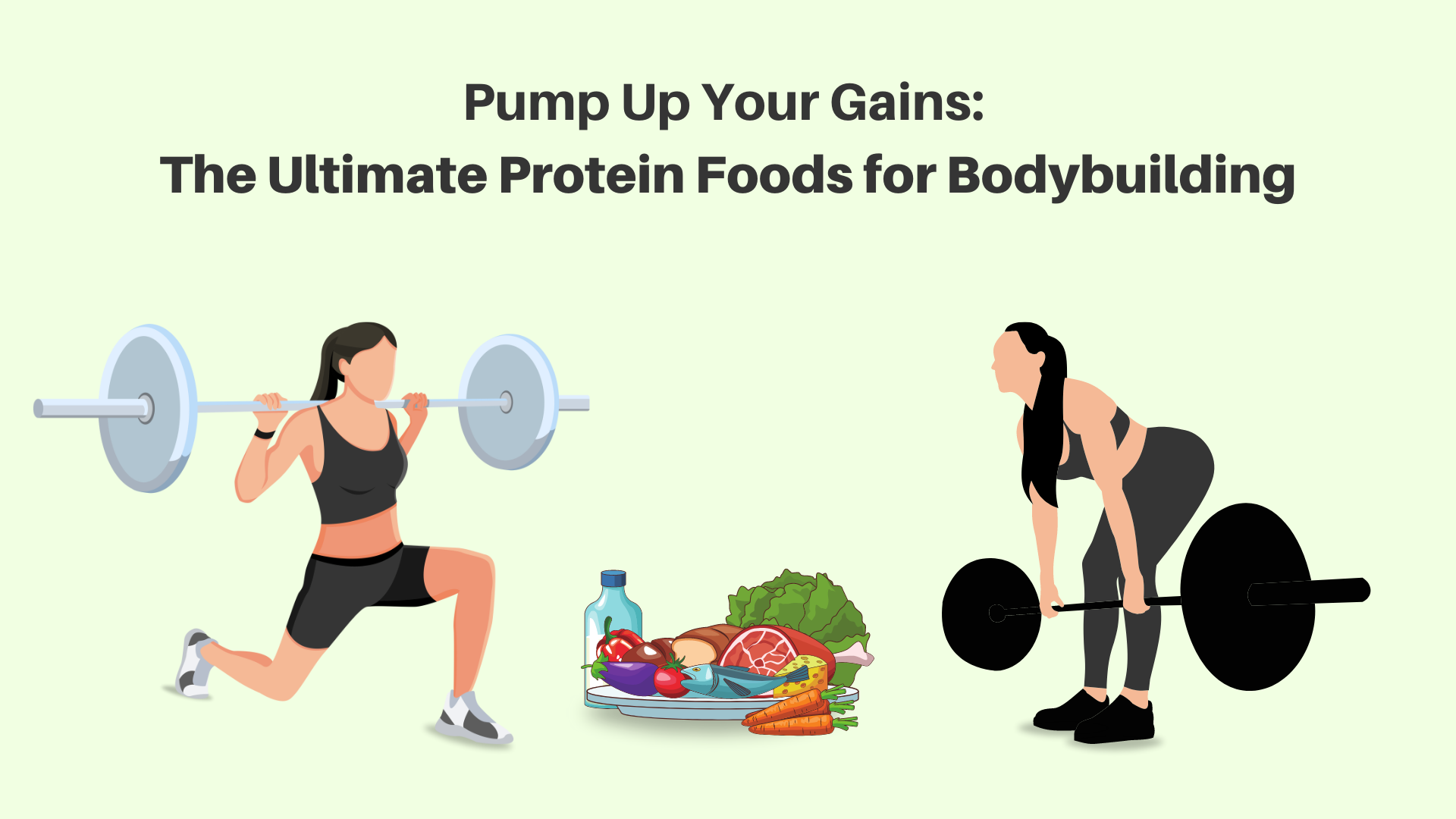 protein foods for bodybuilding
