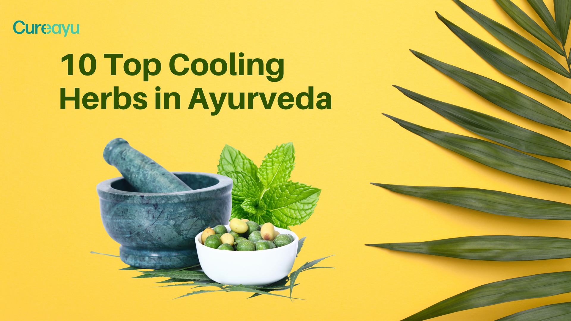 cooling herbs ayurveda