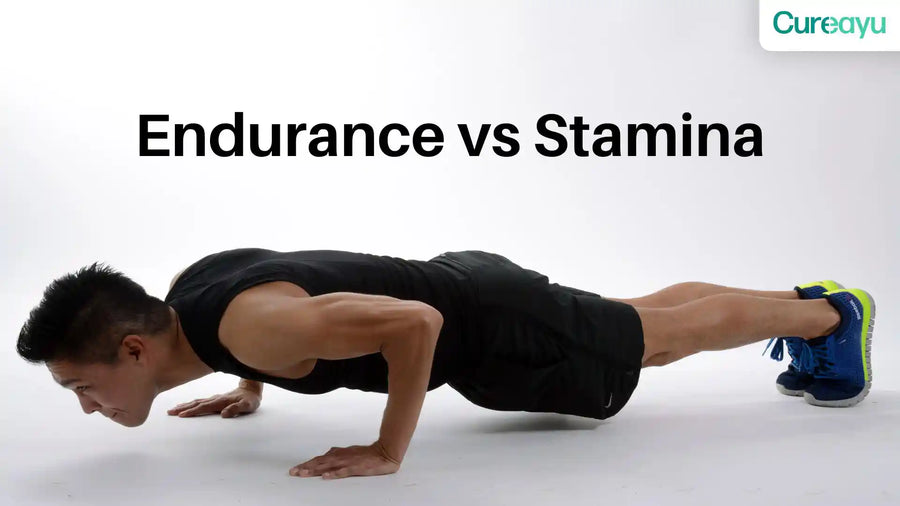 endurance vs stamina
