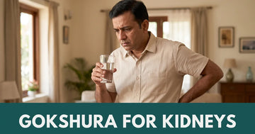 Gokshura (Gokhru) Benefits for Kidney & Urinary Health