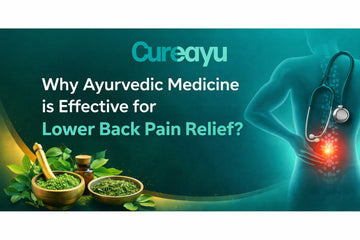 Why Ayurvedic Medicine is Effective for Lower Back Pain Relief?