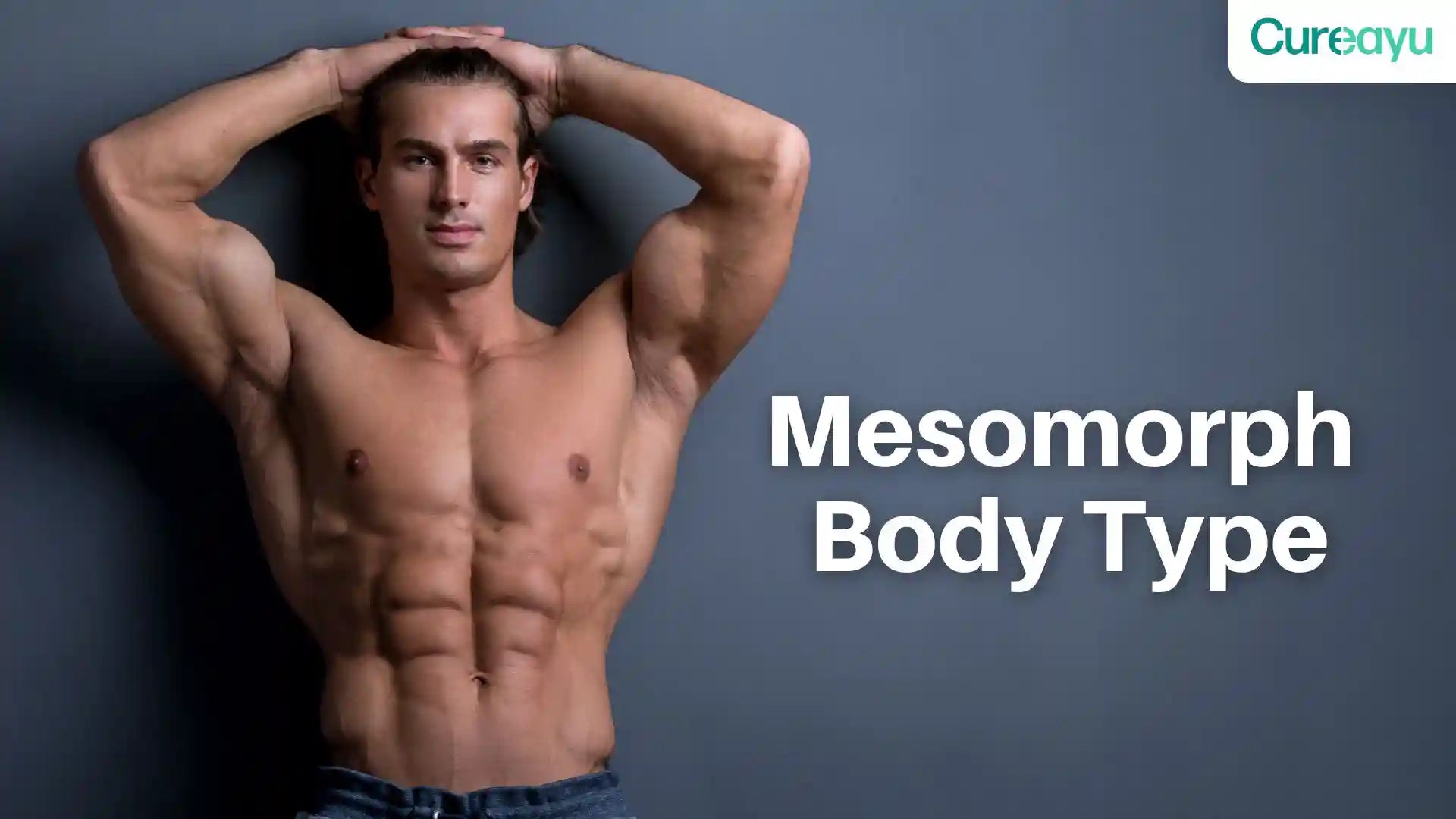 mesomorph body type 