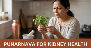 Punarnava Benefits for Kidney Health: What Ayurveda Says