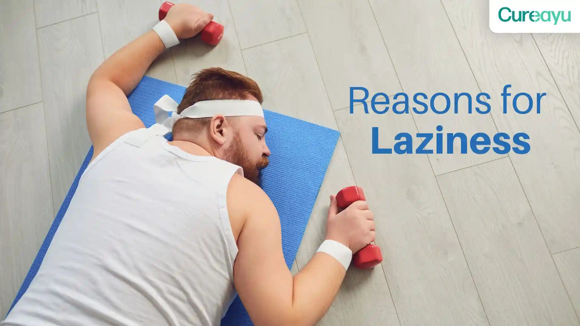 reasons for laziness