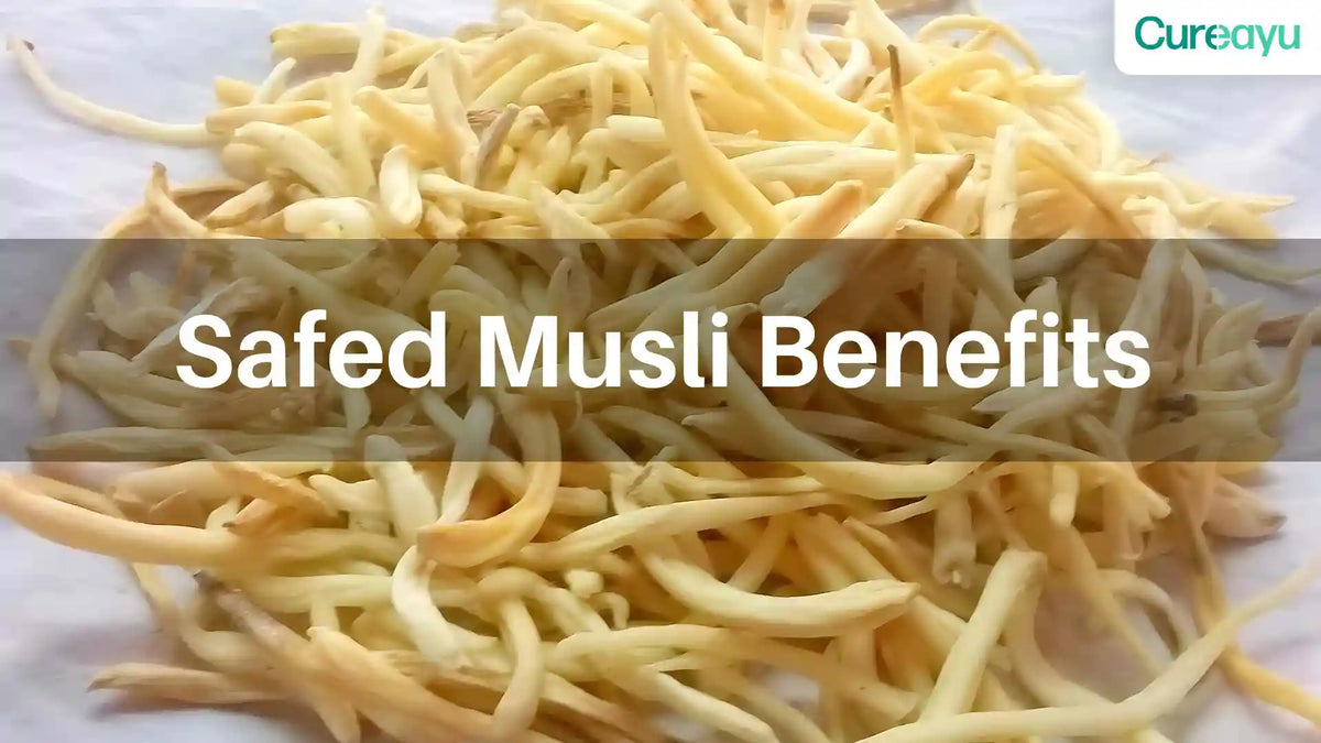 safed musli benefits