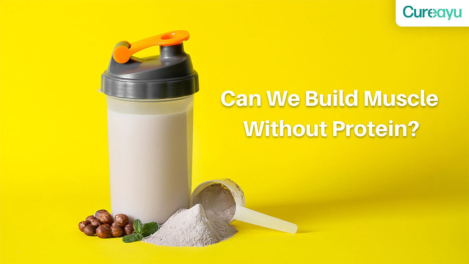 can we build muscle without protein